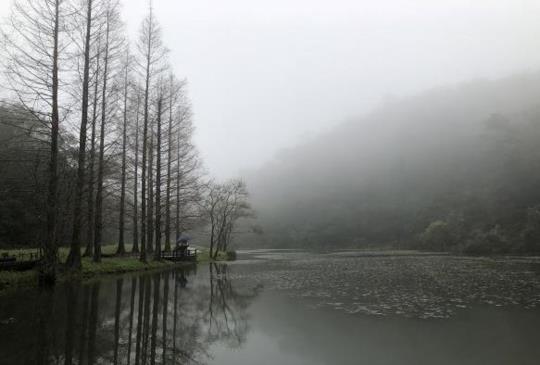 【宜蘭】深山裡的秘境「福山植物園」，探訪野生山羌、獼猴